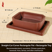 Pot Bunga Resin Gaya Cina Kreatif Bentuk Persegi untuk Anggrek, Sukulen & Kaktus dengan Desain Pengatur Akar, Cocok untuk Balkon & Meja, 100g