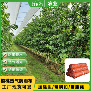 Tela Impermeable y Transpirable para Agricultura, Lona Resistente a la Lluvia para Árboles Frutales e Invernaderos, Rollo Cuadrado de 4.2m, 5.1m, 6m, 7m - Product Image 3