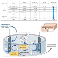 Électrode BDD en diamant dopé au bore revêtue, grille BDD à trous fendus pour le traitement des eaux usées industrielles, solution de traitement des eaux usées COD BOD