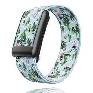 Kompatibel dengan Whoop 5.0 Peak Sports Band Tali Pergelangan Tangan Elastis Anyaman Nilon dengan Bingkai Logam - Product Image 1