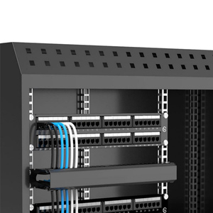 1U * 19 \ "ngang ABS cáp nhựa quản lý Trọng lượng nhẹ đầy đủ nhựa 12 cổng 1U Mạng Máy chủ giá 12 khe cắm 19 Viễn Thông bộ phận - Product Image 2