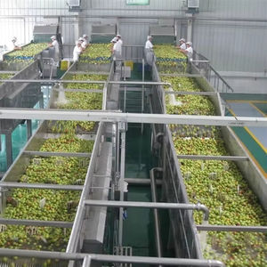 Linha De Produção Concentrado De Suco De Fruta De Maçã De Grau Automático 1-50 T/H Equipamento De Suco De Maçã - Product Image 1