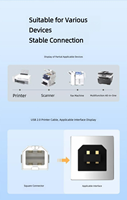 Kabel Printer OEM Likai USB 2.0 Male B Male, Selubung PVC Fleksibel, Konduktor Tembaga Padat untuk