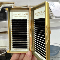 Abonnie ultra Matte Black Volume Lash Trays Cashmere Eyelash Extensions Velvet Lash Extensions Trays.