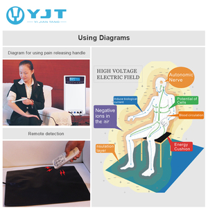Wholesale Similar Waki <strong>Electric</strong> Field <strong>Therapy</strong> Device Potential <strong>Therapy</strong> Machine for Health Care - Product Image 2