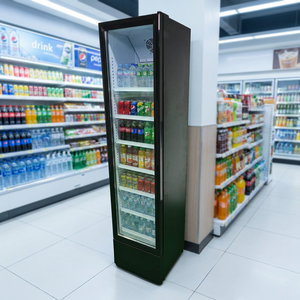 Réfrigérateur commercial vertical 175L sans givre, porte vitrée simple, pour boissons et snacks, avec serrure - Product Image 1