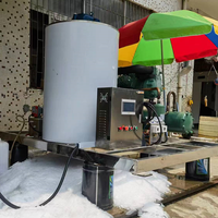 Machine à glaçons en flocons d'eau douce de 5 tonnes pour fruits de mer congelés