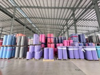 Matelas en tissu non tissé en polypropylène à ressort ensaché utilisé par meubles Matelas à ressort hélicoïdal ensaché en rouleau