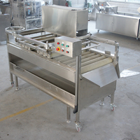 Goede Prijs Industriële Commerciële Automatische Suikerrietwasmachine Fruitreinigingsmachine