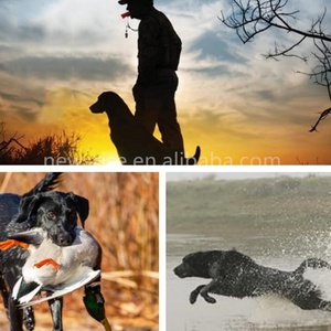 Cane recuperare giocattoli d'acqua fittizi per cuccioli o cani da caccia adulti pistola cane addestramento manichino - Product Image 5