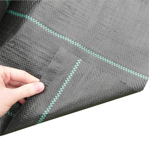 Película de mantillo de plástico negro, cubierta de suelo agrícola, tela antihierba con agujeros - Product Image 3