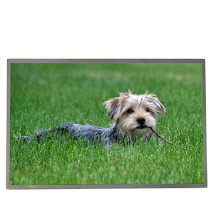 หน้าจอ LCD ราคาประหยัด M250HTN01.1 CELL ขนาด 24.5 นิ้ว ความละเอียด 1920*1080 จอ TFT LCD - Product Image 1