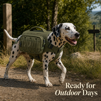 Harnais tactique pour reptiles en alliage, gilet de sécurité personnalisé, simple, sportif, durable, réglable, pour animaux de compagnie, pour le travail en extérieur