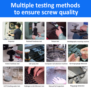 M2 M3 M4 M6 vít và đinh tán thép không gỉ Oxit Đen mạ kẽm rãnh ổ đĩa giàn ràng buộc bài Chicago vít - Product Image 4