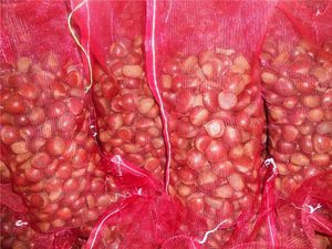 Nuovo raccolto all'ingrosso all'ingrosso crudo fresco <span class=keywords><strong>castagne</strong></span> dolci prezzo Per kg all'ingrosso dalla cina - Product Image 3