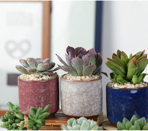 Plantadores Cilindro Fluxo Esmalte Cerâmica-Alta qualidade Mini para Casamento Desktop Vasos de Cerâmica para Plantas Flower <span class=keywords><strong>Pot</strong></span> American Style - Product Image 5