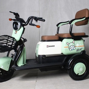 Triciclo Eléctrico Chino de Carga para Adultos, 1000W/500W, 3 Ruedas, Neumáticos Anchos, Venta al por Mayor - Product Image 3