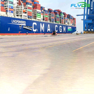 <strong>Free</strong> Warehouse DDP DDU Transport Cargo Shenzhen <strong>Shipping</strong> Agent Air Sea Ship China to America Philippines Canada Australia Poland - Product Image 6
