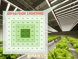 Luces LED de Cultivo de Doble Cara Rentables PPF1944 con Atenuación 0-10V, Difusor de Prisma, Clasificación IP54 para Cultivo en Carpas de Floración y Vegetación - Product Image 6