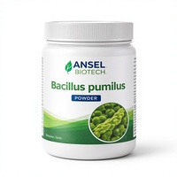 Poudre de Bacillus Pumilus Probiotiques d'origine