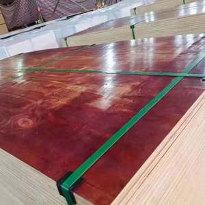 Contreplaqué filmé Tego robuste <span class=keywords><strong>de</strong></span> 12 mm, largement applicable pour la construction, le contreplaqué, le coffrage en béton, film noir E1, formaldéhyde - Product Image 3