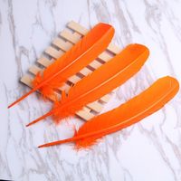 Plumas de Cola de Pavo Redondas de Alta Calidad, Blanqueadas y Teñidas, de 25-30 cm