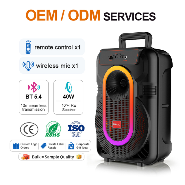 OEM Wholesale Factory Karaoke 10 Inch Trolley Speaker Outdoor Party Rgb Light Speaker 1 Wireless Mics Remoter BT Speaker