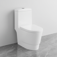 WC chinois monobloc à double chasse, moderne, en céramique, à siphon, avec évacuation en S pour usage hôtelier