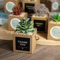 Boîte d'emballage pliable en papier kraft jetable pour plantes succulentes, mini pot carré épaissi avec poignée pour bougies, mariages, fêtes, fleurs