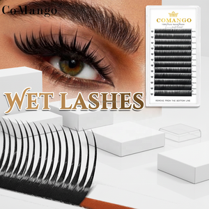 Extensiones de Pestañas Húmedas al por Mayor, 0.07mm, Forma de Espiga, Volumen Ruso, <span class=keywords><strong>Manga</strong></span>, Cosplay, Abanicos Preformados Naturales, Suministros - Product Image 1