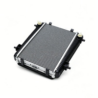 17118095285 Radiador Auxiliar Intercooler Compatible con BMW G80 G81 G82 G83 G87 M2 M3 M4 Turbo Enfriador de Refrigerante