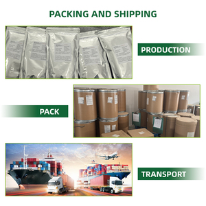 Chất lượng cao Nhân Sâm gốc bột nhân sâm bột nhân sâm chiết xuất nhân sâm bột - Product Image 6