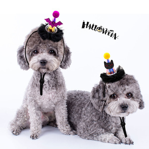 Chapeau de chien lumineux en forme de citrouille d'Halloween, vente chaude, avec lumières, réglable, en polyester - Product Image 4