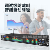 Égaliseur numérique SUB 31 bandes avec tuner, unité d'effets de réduction du bruit pour performance scénique, spécifique au sonorisation de scène