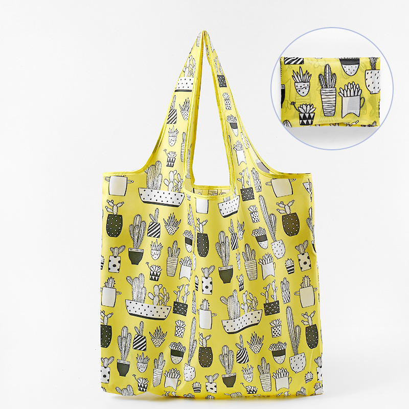 Cactus jaune