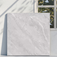 Carreau de porcelaine moderne 600x600mm gris clair marbre Premium antidérapant pour sol et mur