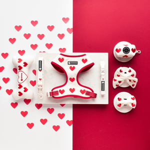 Juego Popular de Arnés para Perro con Diseño Personalizado, Collares y Correas para Mascotas, Collar Bandana de Lujo para Perro y Portabolsas para Excrementos, Suministros para Mascotas - Product Image 3