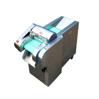 Automatische groentesnijmachine, snijmachine voor het snijden van uien, kool, wortelen, aardappelen, capaciteit 350 kg/uur