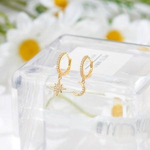 2021 Fabrik ganze Verkauf Ohrring Schmuck Mode 925 Silber Star Zircon <span class=keywords><strong>Hoop</strong></span> Huggie Ohrringe für Frauen