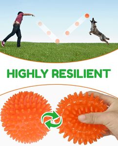 Vendedor caliente Ecológico TPR Durable Bola chirriante Limpieza de dientes Juego de bolas puntiagudas Juguetes para masticar perros - Product Image 5
