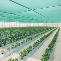 Filet d'ombrage mono en HDPE stabilisé aux UV, écologique, pour l'agriculture, le jardin, la ferme, la serre, bloque la lumière du soleil