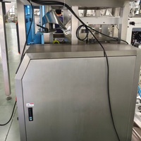 Machine d'emballage automatique à film en rouleau PLC à économie d'énergie 100-2000g pour cacahuètes et graines de melon