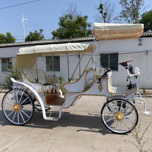 รถม้าไฟฟ้าสไตล์วินเทจสีขาวตกแต่งขอบทอง ยานพาหนะพิเศษสำหรับการท่องเที่ยวชมวิว - Product Image 5