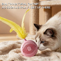 Jouet interactif pour chat d'intérieur, balle rebondissante en plumes, durable, inodore, pour petits chats
