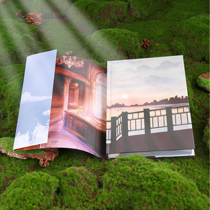 Impresión de Novelas de Tapa Dura de Alta Calidad con Estuche, Bordes Pintados Personalizados y Respaldo de Libro Pintado - Product Image 3