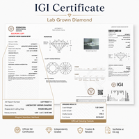 IGI Sertifikalı 0.3-5 karat D Renk VVS Laboratuvarda Yetiştirilmiş Elmas Yuvarlak Oval Zümrüt Armut Prenses Yastık Kesim Radyant Kalp Asscher Kesim