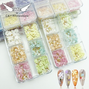 CY Petites Fleurs en Résine pour Décoration d'Ongles 3D Kit d'Accessoires de Manucure - Product Image 2