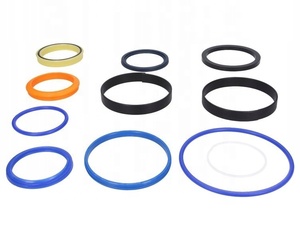 DLSEALS Bộ Bịt Xi Lanh Thủy Lực <span class=keywords><strong>991</strong></span>/20039 Cho Máy Xúc Lật Bộ Bịt Kín Bơm Nội Bộ - Product Image 1