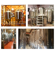 Cuves De Fermentation pour Mini brasserie, clé en main Ss316l 200L