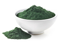 Haute qualité SUDAN GREEN 4B/solvant vert 3 Cas 128-80-3 pour fibre de polyester plastique bougie cosmétiques Dacron